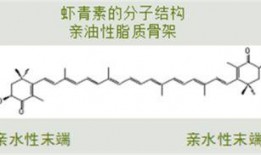 白术机制爆料最新进展,揭秘中药新功效
