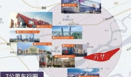 东莞陈先生最新爆料视频,揭秘事件背后惊人真相