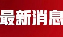 宁波版权维权最新爆料消息,多方博弈下的维权之路