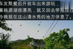 桃源最新爆料,最新爆料揭示神秘仙境的惊人真相