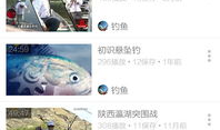 钓鱼爆料视频最新版下载,揭秘钓鱼技巧与安全防范攻略