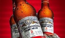 百威啤酒视频爆料最新版,揭秘品牌新动向与神秘新品