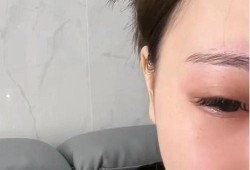 最新博主爆料胖猫,博主爆料，萌宠界的“网红”又添新风采