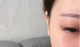 最新博主爆料胖猫,博主爆料，萌宠界的“网红”又添新风采