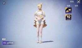 大转盘和平精英最新爆料,惊喜不断