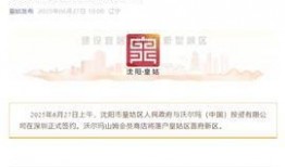 沈阳头条最新爆料,重大事件背后真相揭晓！