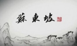 东坡爆料视频大全最新版,最新版揭秘娱乐圈热点事件