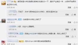 国产s11最新爆料消息,揭秘最新爆料，性能与设计全面升级