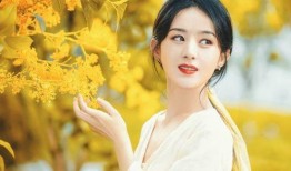 最新爆料顶流女星有哪些,揭秘最新爆料中的顶流女星阵容