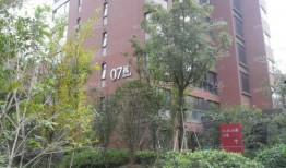 南京碧桂园爆料最新消息,揭秘项目进展与市场动态