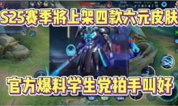 最新款6元皮爆料,外观升级，性能卓越，性价比之选！”