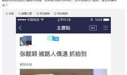 北京刘先生最新爆料视频,北京最新爆料视频内容大起底