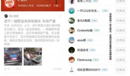 最新的爆料显示你是啥,最新爆料揭示我是如何生成的！”